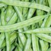 guar