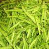 guar-crop